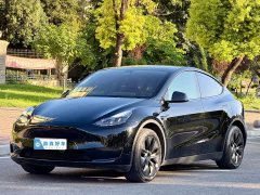 Tesla Model Y 2023 Long Range All-Wheel Drive - ფოტო 1