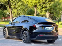 Tesla Model Y 2023 Long Range All-Wheel Drive - ფოტო 6