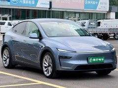 Tesla Model Y Long Range All-Wheel Drive - ფოტო 3