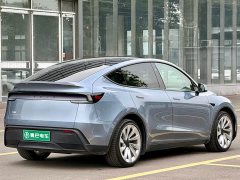 Tesla Model Y Long Range All-Wheel Drive - ფოტო 6