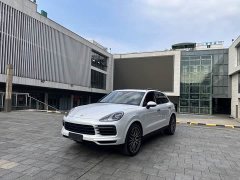 Porsche Cayenne 3.0T Platinum Edition - ფოტო 1