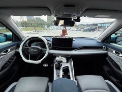 Geely Xingrui 2.0T Diesel Flagship - ფოტო 6