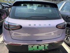 Geely Star Wish 410km Explorer Edition - ფოტო 9