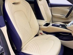 Aston Martin DBX 2020 4.0T V8 - ფოტო 11