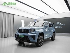 Tank 700 New Energy Hi4-Z Extreme Terrain Edition - ფოტო 1