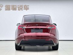 Tesla Model Y Long Range All-Wheel Drive 3D7 - ფოტო 11