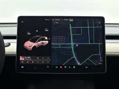 Tesla Model Y Long Range All-Wheel Drive 3D7 - ფოტო 5