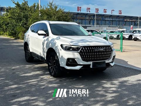 2024 Haval H6 2023 National Trend Edition 1.5T Automatic Urban Version - ავტომობილი ჩინეთიდან