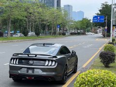 Ford Mustang 2.3T EcoBoost Black Obsidian Special Edition - ფოტო 19