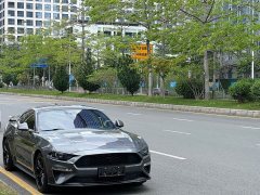 Ford Mustang 2.3T EcoBoost Black Obsidian Special Edition - ფოტო 3
