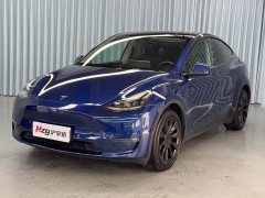 Tesla Model Y Long Range All-Wheel Drive - ფოტო 1