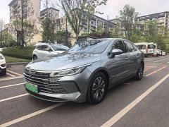 BYD Destroyer 05 Glory Edition DM-i 55KM Luxury - ფოტო 1