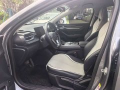 BYD Destroyer 05 Glory Edition DM-i 55KM Luxury - ფოტო 10