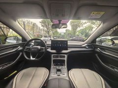 BYD Destroyer 05 Glory Edition DM-i 55KM Luxury - ფოტო 11