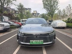 BYD Destroyer 05 Glory Edition DM-i 55KM Luxury - ფოტო 2