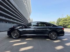 Volkswagen Magotan 330TSI DSG 30th Anniversary Edition - ფოტო 8