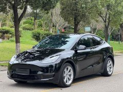 Tesla Model Y Long Range All-Wheel Drive - ფოტო 1