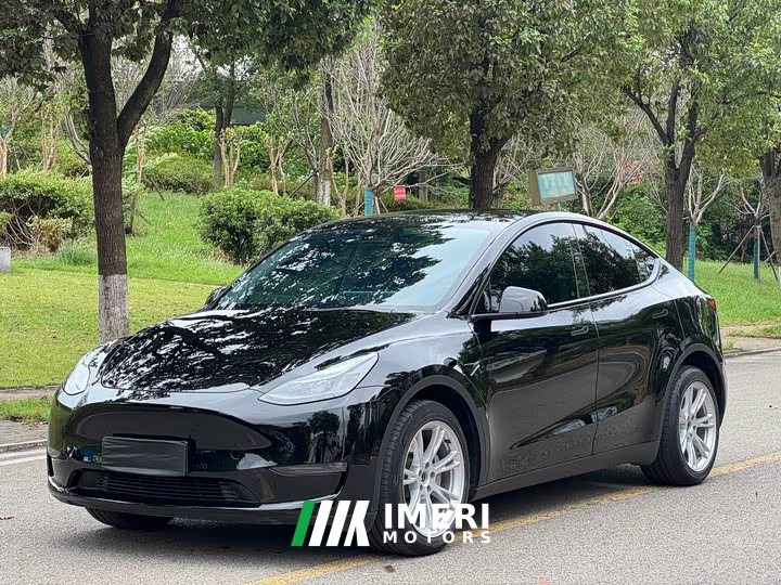 Tesla Model Y Long Range All-Wheel Drive