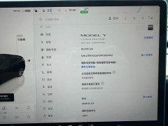 Tesla Model Y Long Range All-Wheel Drive - ფოტო 16