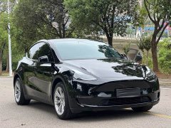 Tesla Model Y Long Range All-Wheel Drive - ფოტო 3