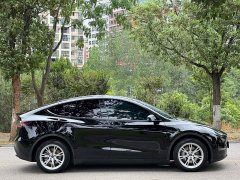 Tesla Model Y Long Range All-Wheel Drive - ფოტო 7