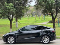 Tesla Model Y Long Range All-Wheel Drive - ფოტო 8