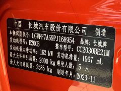 Tank 300 2.0T Conqueror - ფოტო 15