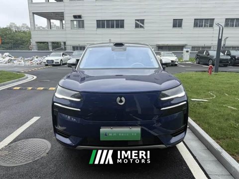2026 Denza N9 Premium Edition - ავტომობილი ჩინეთიდან
