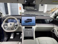 Denza N9 Premium Edition - ფოტო 10