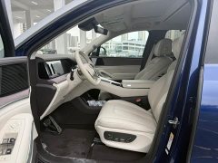 Denza N9 Premium Edition - ფოტო 11