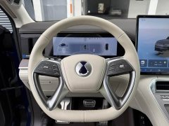 Denza N9 Premium Edition - ფოტო 9