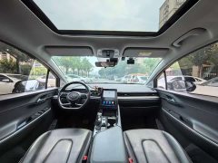 Hyundai Cosutu 270TGDi TOP Smart Love Flagship Edition - ფოტო 8