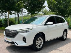 Haval M6 2021 PLUS 1.5T Manual Luxury Smart Connected Edition - ფოტო 1