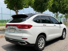 Haval M6 2021 PLUS 1.5T Manual Luxury Smart Connected Edition - ფოტო 6