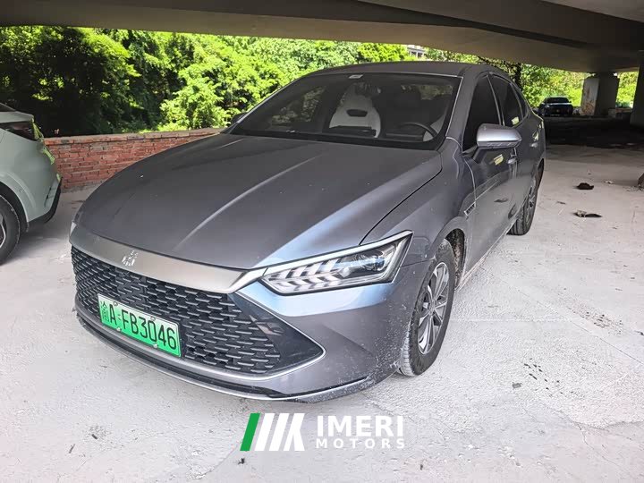 BYD Qin PLUS Glory Edition DM-i 55KM Leading