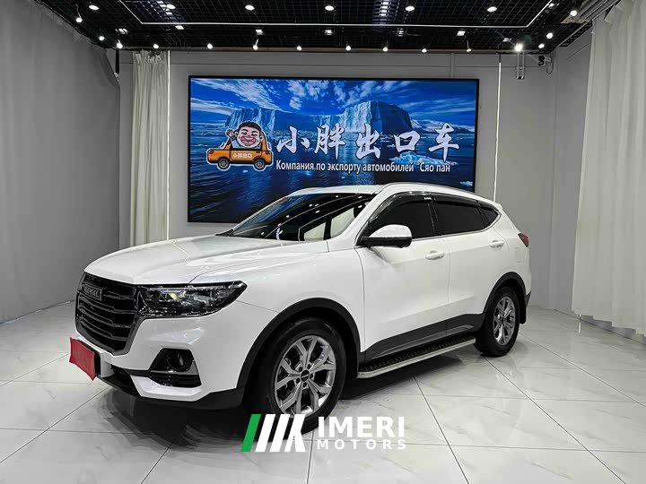 Haval H6 2021 National Trend 1.5T Automatic Champion Edition - ავტომობილი ჩინეთიდან