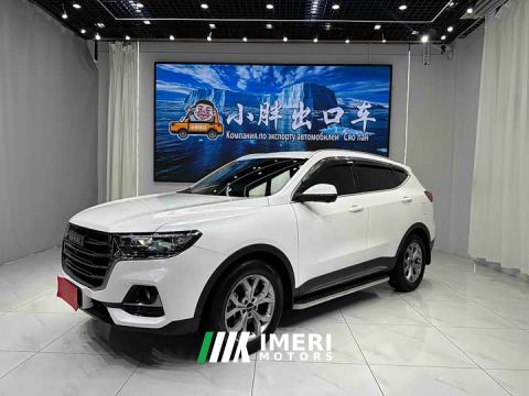 2023 Haval H6 National Trend 1.5T Automatic Champion Edition - car from China