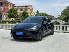 Tesla Model Y Rear-Wheel Drive - ფოტო 1