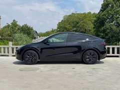 Tesla Model Y Rear-Wheel Drive - ფოტო 11