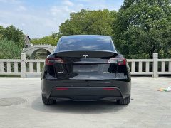 Tesla Model Y Rear-Wheel Drive - ფოტო 12