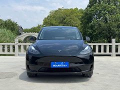 Tesla Model Y Rear-Wheel Drive - ფოტო 2