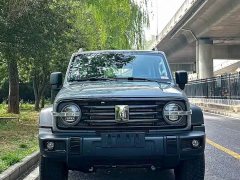 Tank 300 2025 2.0T Gasoline Conqueror - ფოტო 2