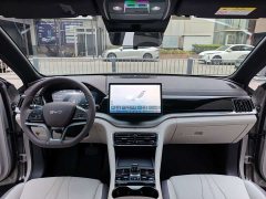 BYD Song Plus New Energy 2025 DM-i 112KM Luxury Edition - ფოტო 8