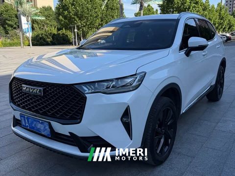 2023 Haval H6 2021 Third Generation 2.0T Automatic AWD Max - ავტომობილი ჩინეთიდან