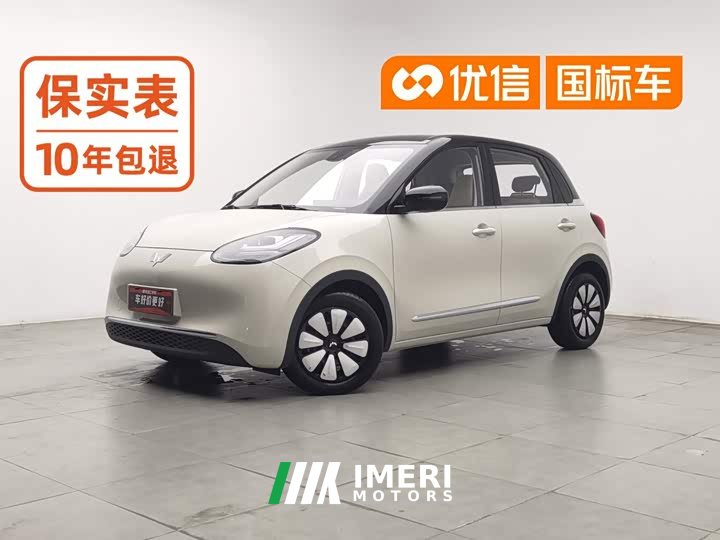 Wuling Binguo 203km Comfort Edition - ავტომობილი ჩინეთიდან