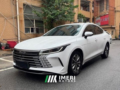 2023 BYD Destroyer 05 Champion Edition DM-i 55KM Luxury - ავტომობილი ჩინეთიდან