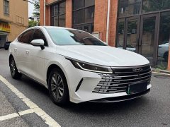 BYD Destroyer 05 Champion Edition DM-i 55KM Luxury - ფოტო 2