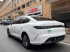 BYD Destroyer 05 Champion Edition DM-i 55KM Luxury - ფოტო 5