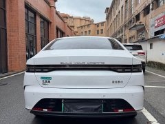 BYD Destroyer 05 Champion Edition DM-i 55KM Luxury - ფოტო 6