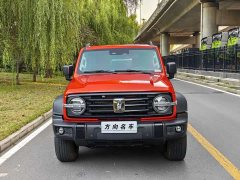Tank 300 2023 Off-Road Edition 2.0T Conqueror - ფოტო 2